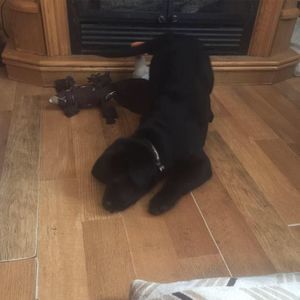 Meet your Posher, Kim